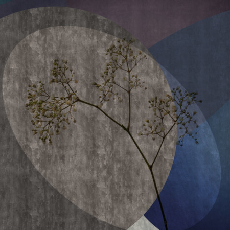 glamora hope közeli