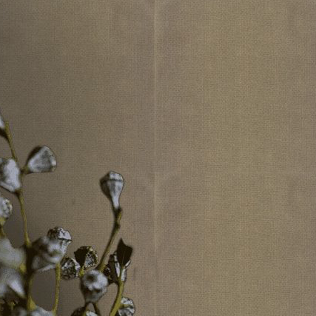 CASELIO NATTE METALLISES NAE 101579120_3